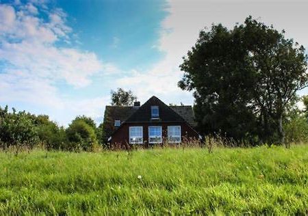 Landhaus Am Deich 多努姆 外观 照片